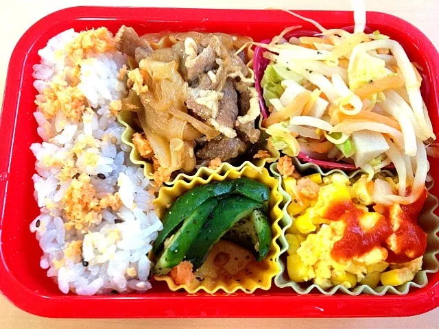 今日の弁当|ayamenさん