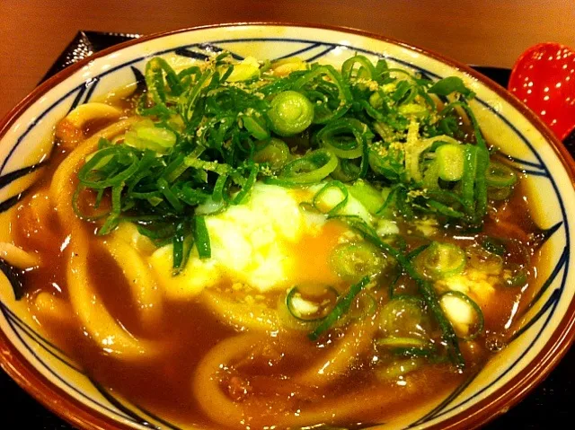 丸亀のカレーうどん、温玉のせ|大石さん