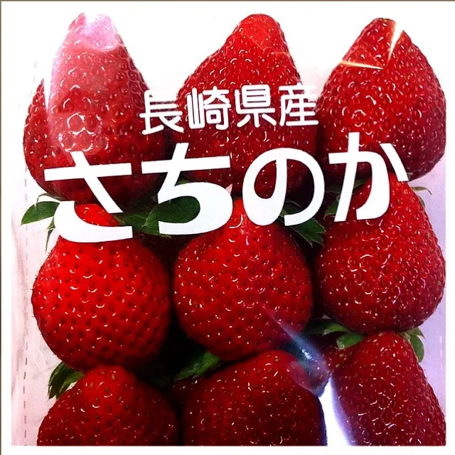 フルーツは、苺は食べます。ナゼなら…剥かなくていいから(^^;;|いよこ🍻さん