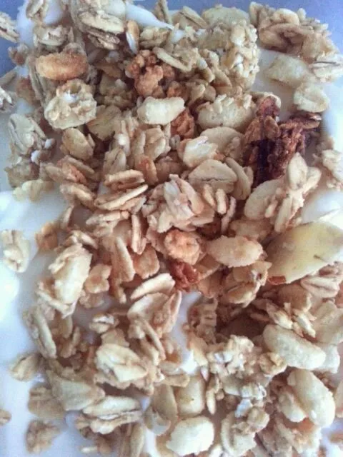 Breakfast: Honey Greek Yogurt & Granola|Leanneさん