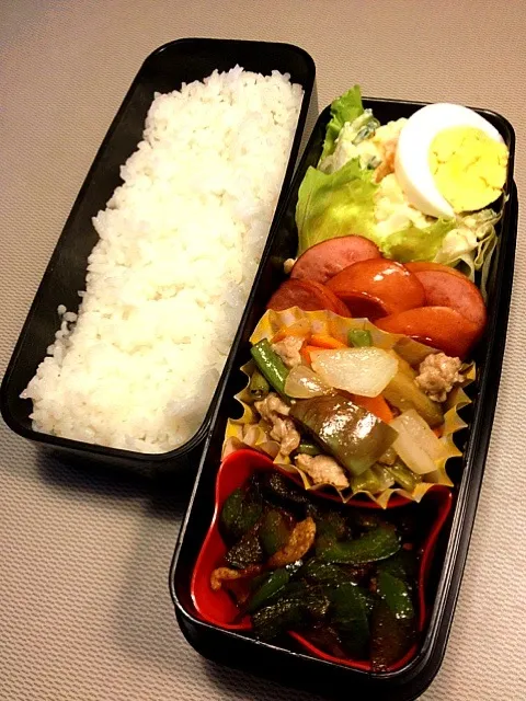 Snapdishの料理写真:主人のお弁当|あいさん