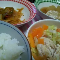 野菜をたくさん食べよう献立|なつのさん