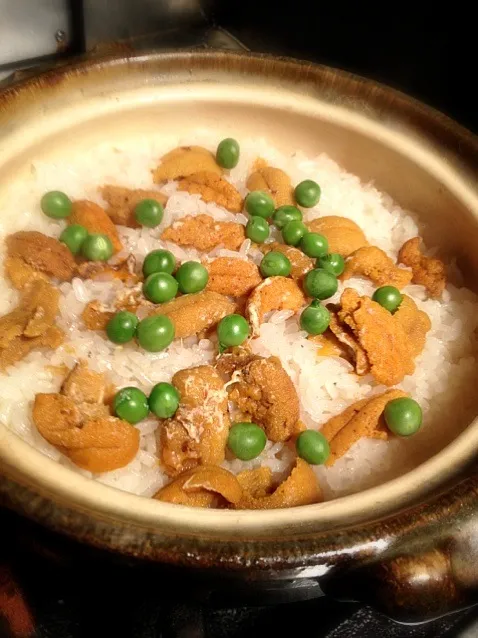 海胆土鍋御飯🍚|炊かれたいオトコ おこん 小栁津さん