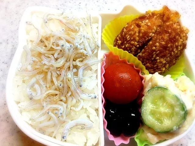 娘のお弁当|まうんてんさん