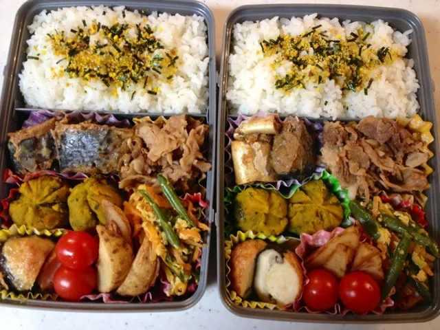 次男,三男のお弁当。鯖の味噌煮。豚細切れの生姜焼き。カボチャの茶巾。椎茸の肉詰め。インゲンと豆腐の炒り煮。|井上 恵里子さん