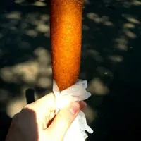 state fair corn dog|Alé Lumeíさん