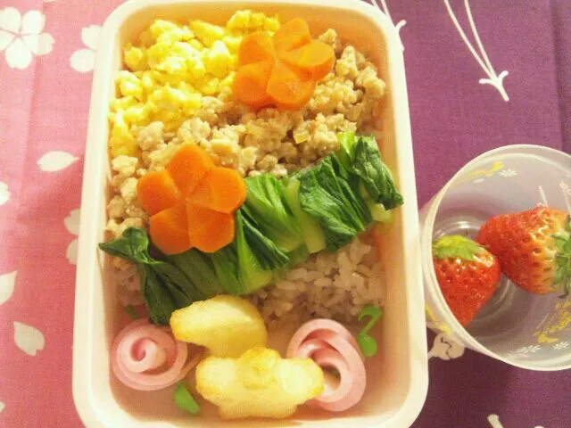 1/25 お弁当|まみりんさん