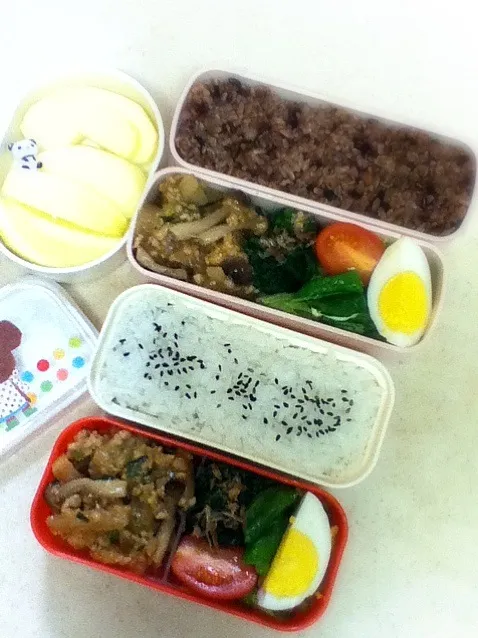 今日のJK&OL弁当。さっき娘からLINEとんできて、「今日4時間授業で弁当いらなかったー^o^ お弁当は夜に家で食べるから友達とランチ行って来る～」 orz  だったら今朝も少し寝たかったよ母は。|hoppycowさん