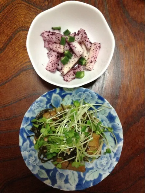 鶏肉とさつま揚げのさっと煮|芝辻健二さん