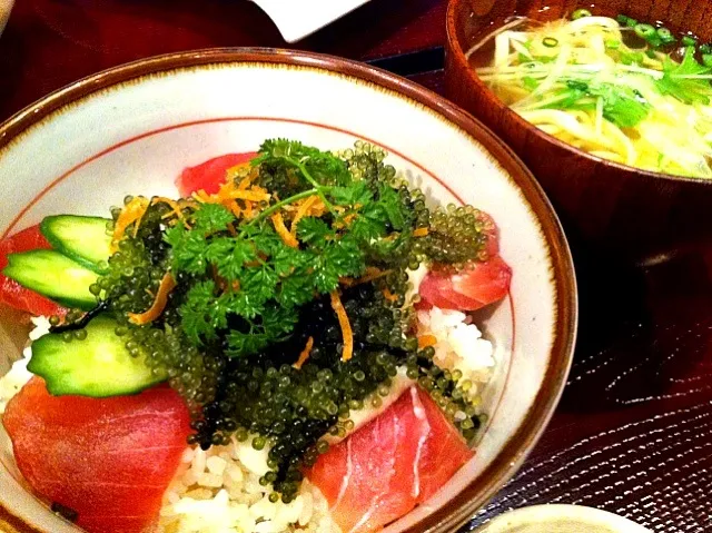 海ぶどうとマグロとろろ丼っ！|eriさん