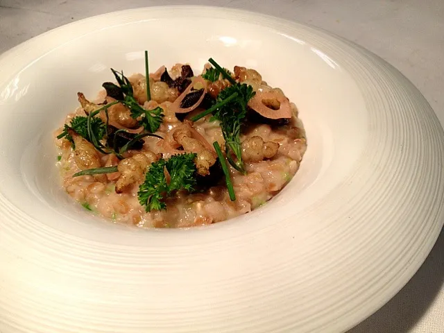 Snapdishの料理写真:Creamy farro with snails, crosnes, Meyer lemon, and herbs|Owen Clarkさん