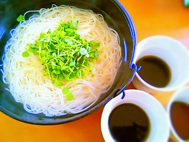 釜揚げ素麺|ゆっきーさん