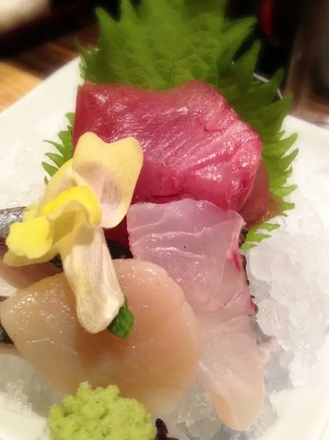 Dish (Sashimi: alumni event )|Roy Fujiwaraさん