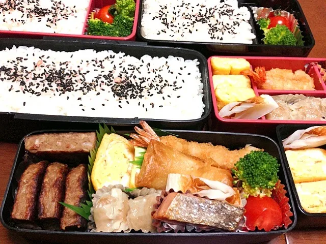 Snapdishの料理写真:お弁当|ponkyさん