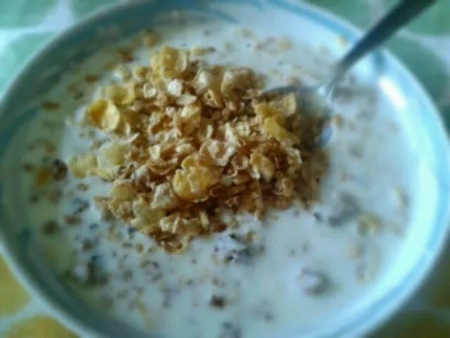 going back to basics!...honey branches with granola and yogurt|Daniel Olléさん