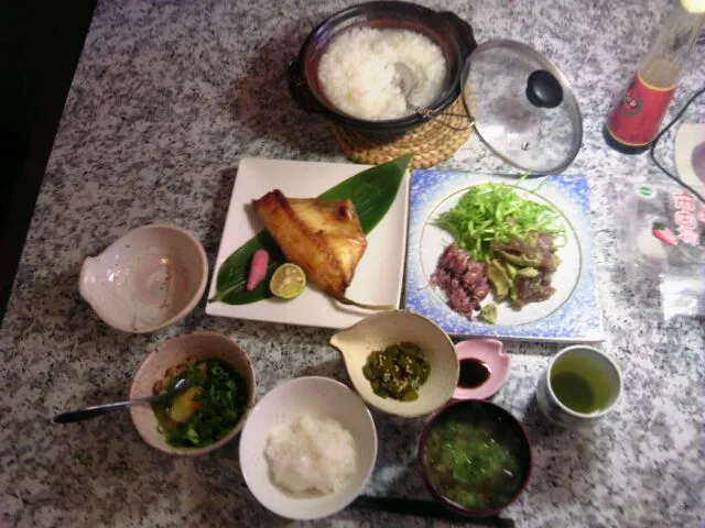 本日の朝御飯|橋本陽子さん