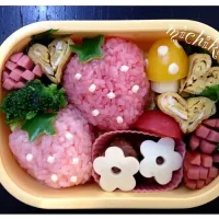 Snapdishの料理写真:過去弁☆いちご弁当♪|みちかさん