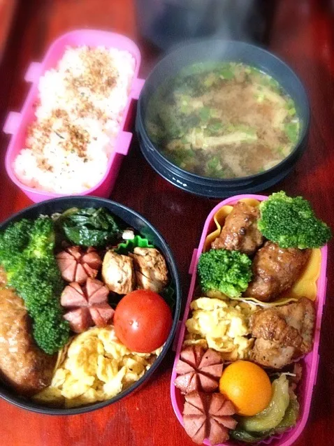 Snapdishの料理写真:通学＆パパ弁当|marinaさん