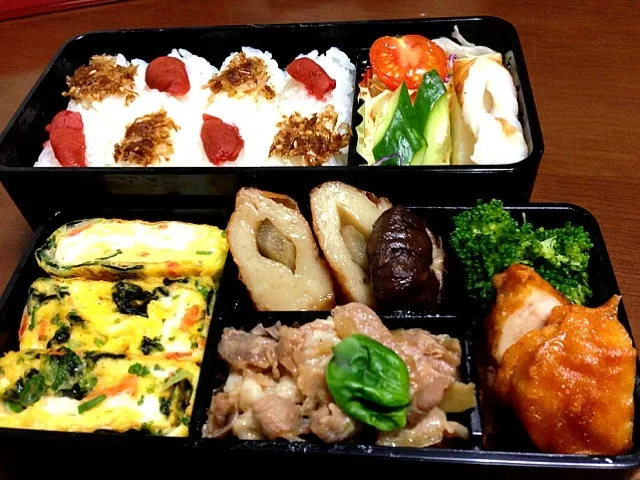 Snapdishの料理写真:お弁当|ponkyさん