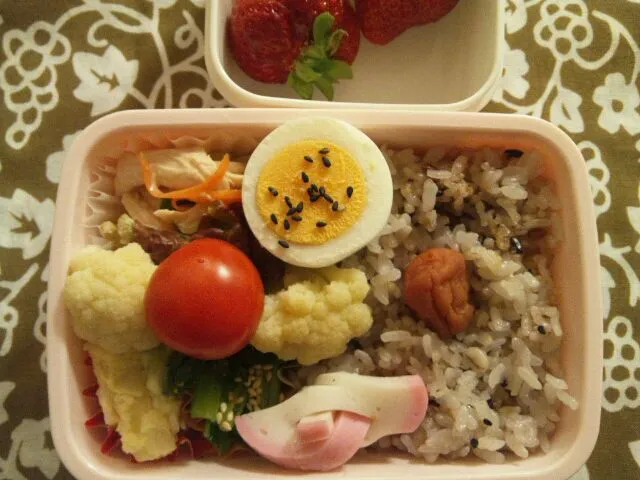 1/29 お弁当|まみりんさん