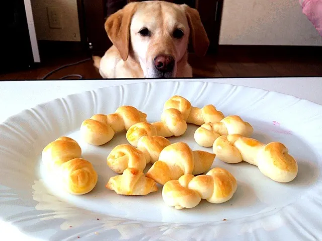 手づくり犬用のパン🐶笑|☆あみ☆さん