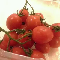 tomatoes|Kor Shyn Lynさん