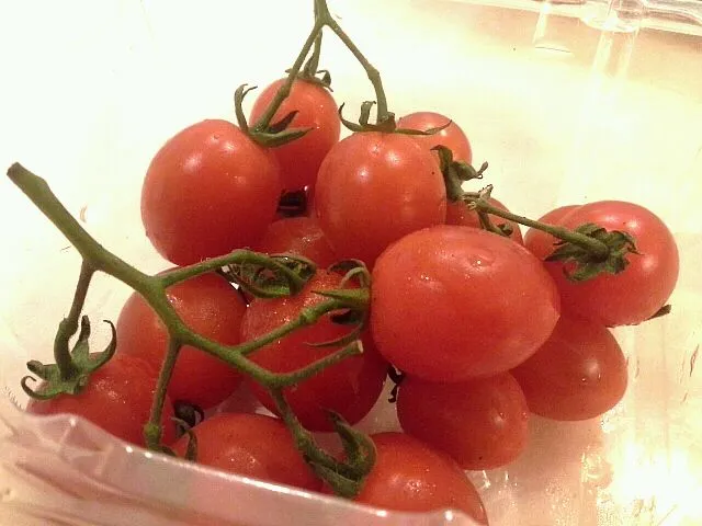 Snapdishの料理写真:tomatoes|Kor Shyn Lynさん