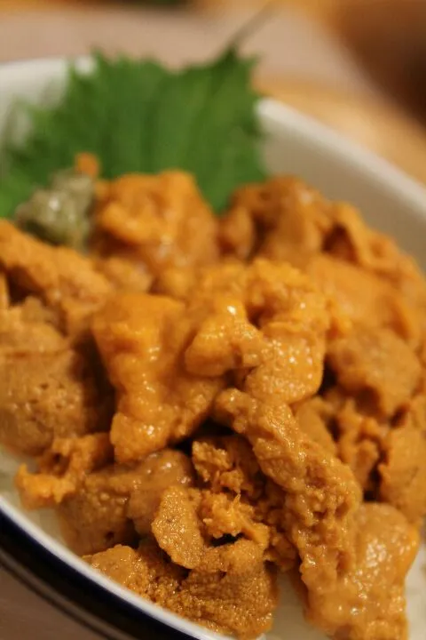 お家でウニ丼|ちびめがさん