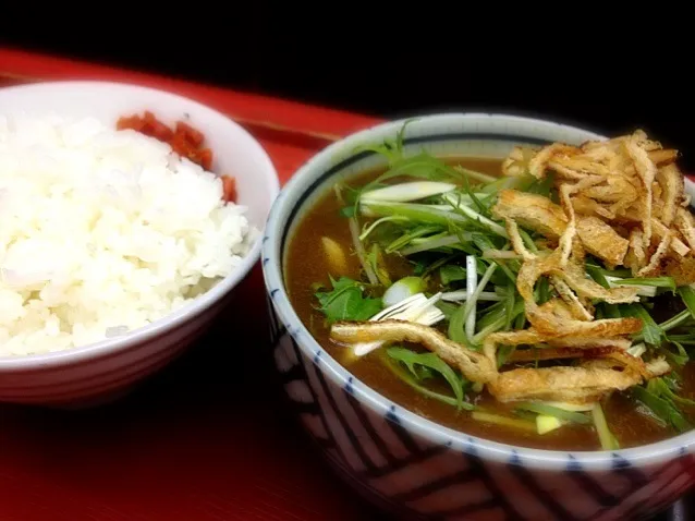 カレーうどん＆〆に投入用のごはん|ぴーさん