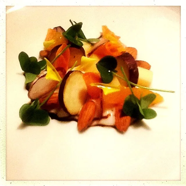 CASHEW PUREE. JAPANESE EGGPLANT. SATSUMA. PERSIMMON. PURPLE RADISH. PARMESAN. ALMOND. WOOD SORREL|GREG ARNOLDさん