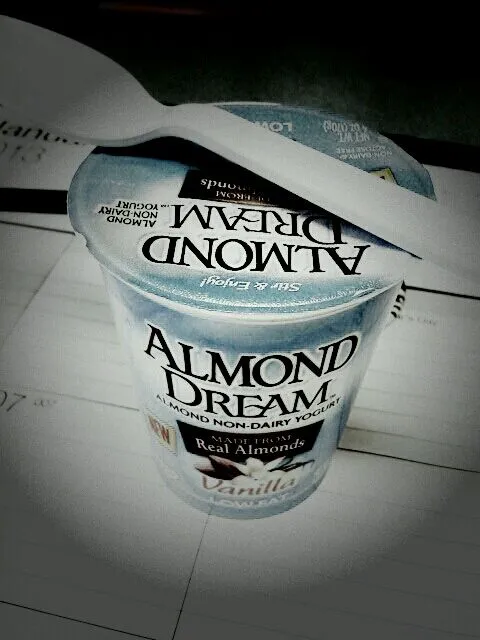 Snapdishの料理写真:Almond Dairy Free Yogurt|Alisa Judkinsさん