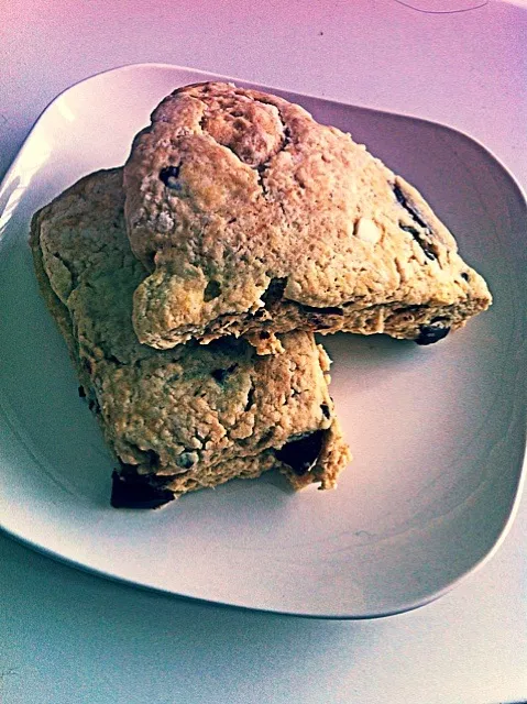 Chocolate coffee scone|saccoさん