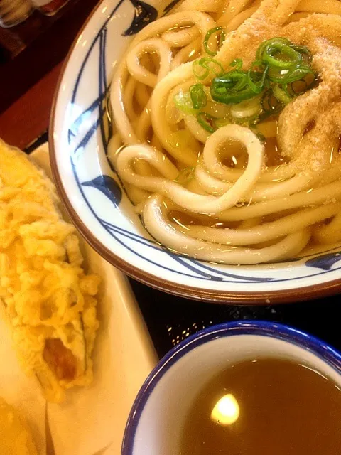 丸亀製麺、かけ|いぐあなさん