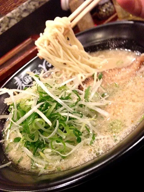 神虎らーめん。餃子に負けるなぁ。ココは黒虎の方がええんかな。|たけうちさん