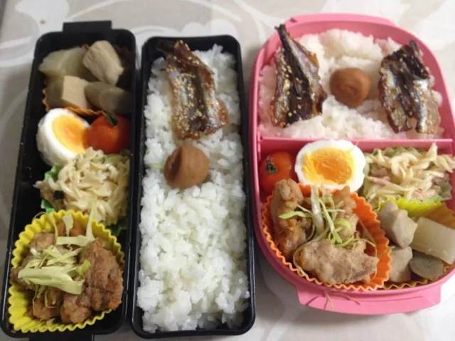 今日の夫婦お弁当|はちーさん