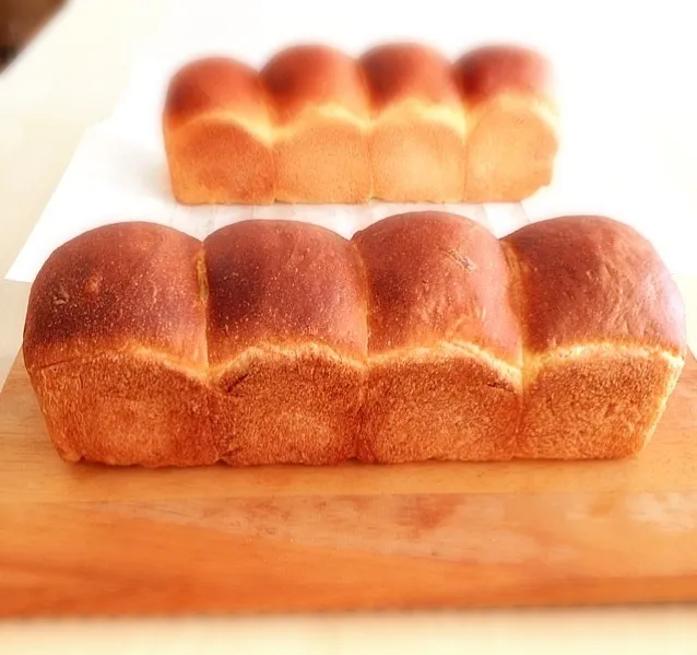 ももちゃんのみかん食パン‼二回目(^^)|麻希さん