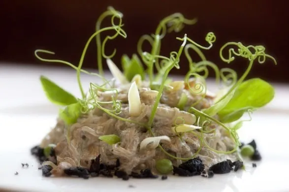 Black Pepper Kelp Noodles. Chanterelles. Snap Peas. Pea Vines. Olives.|scott winegardさん