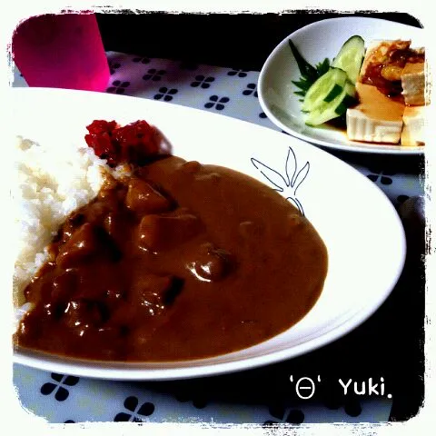 チキンカレー、冷奴|ゅ。さん