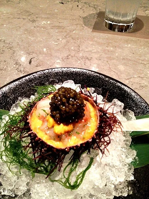 Sea urchin, shrimp, caviar|ryosuke annoさん