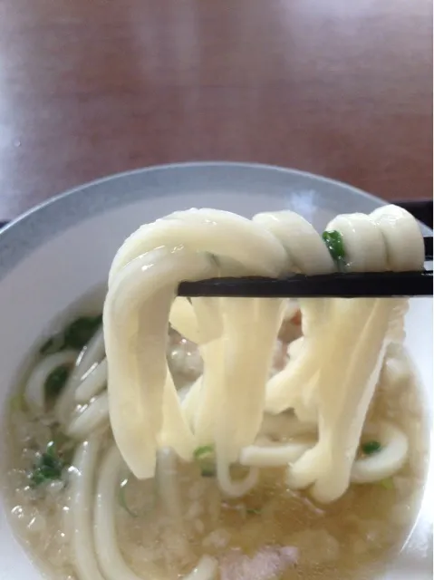 讃岐うどん|しばお（≧∇≦）さん