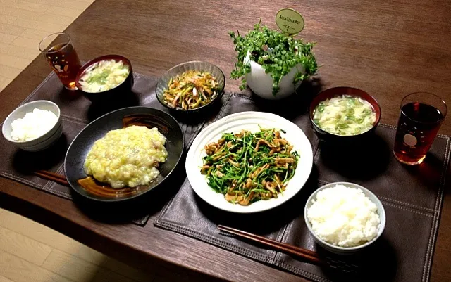 Snapdishの料理写真:豚肉と豆苗の生姜焼き、鰤のネギソース、春雨中華サラダ、キャベツの中華スープ、ご飯|pentarouさん