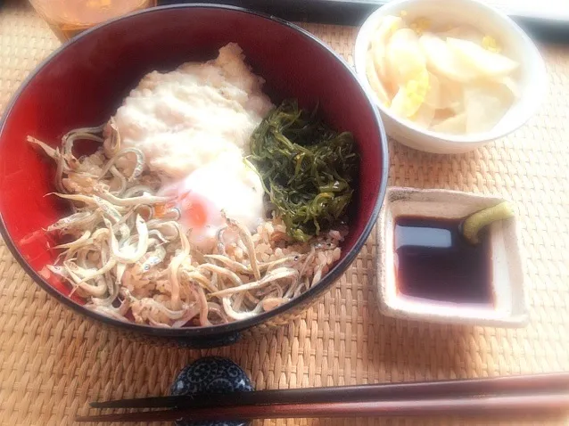 Snapdishの料理写真:小女子のめかぶとろろ温玉丼と柚子沢庵|トキロックさん