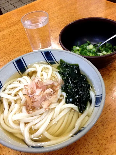 さぬきうどん|しばお（≧∇≦）さん