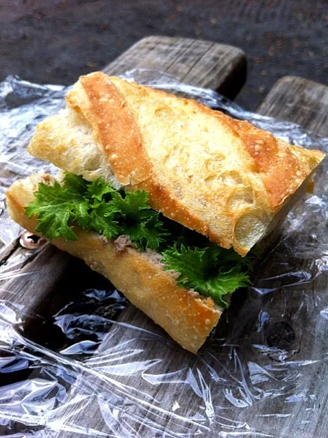 鶏レバーのペーストとわさび菜のサンドイッチ|まどろみさん