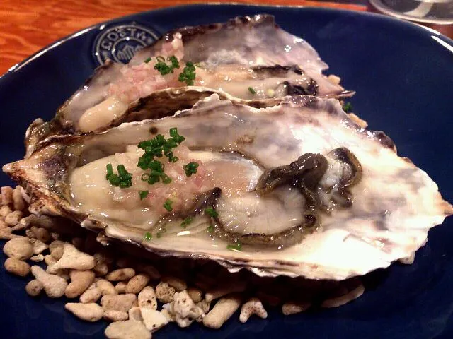 生牡蠣|Ta-ryoさん