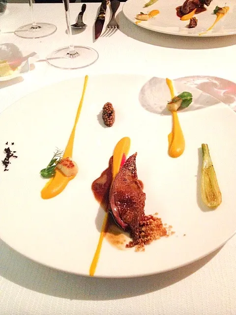 Pigeon, carrot puree, gnocchi, onion, salmi|ryosuke annoさん