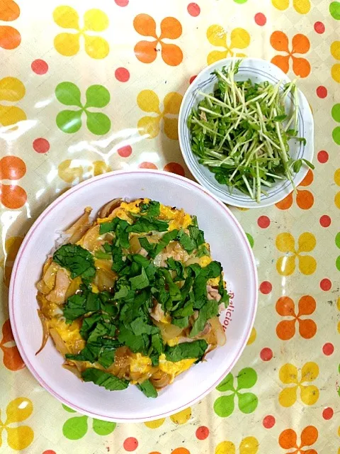 Snapdishの料理写真:親子丼  豆苗とツナのサラダ|まぁりーさん