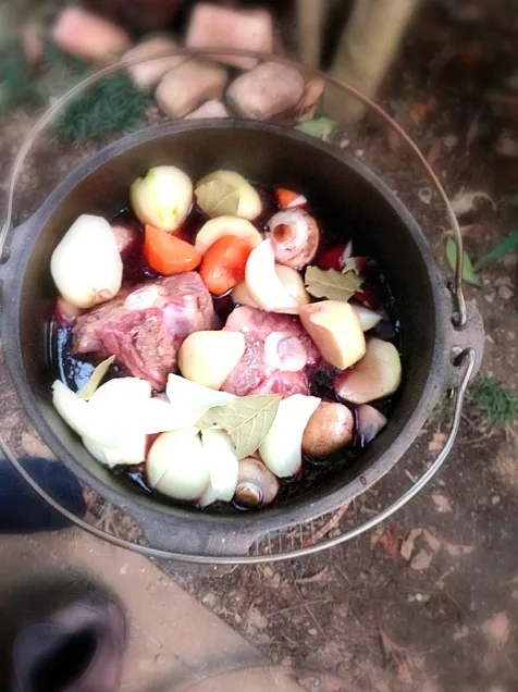 Snapdishの料理写真:Cow tail stew💕牛テールのシチュー |🌈Ami🍻さん