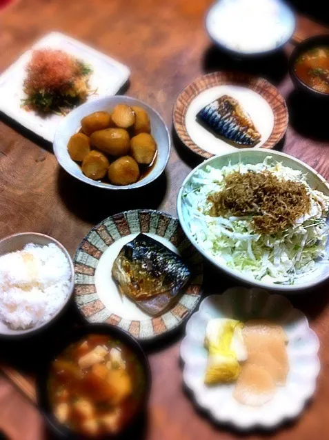 晩御飯。ｇｏｈａｎｄａｉｓｕｋｉさんの白菜サラダさっそく！|つるたさん