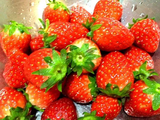 my latest fav .... korean strawberries|Cloudy Gさん